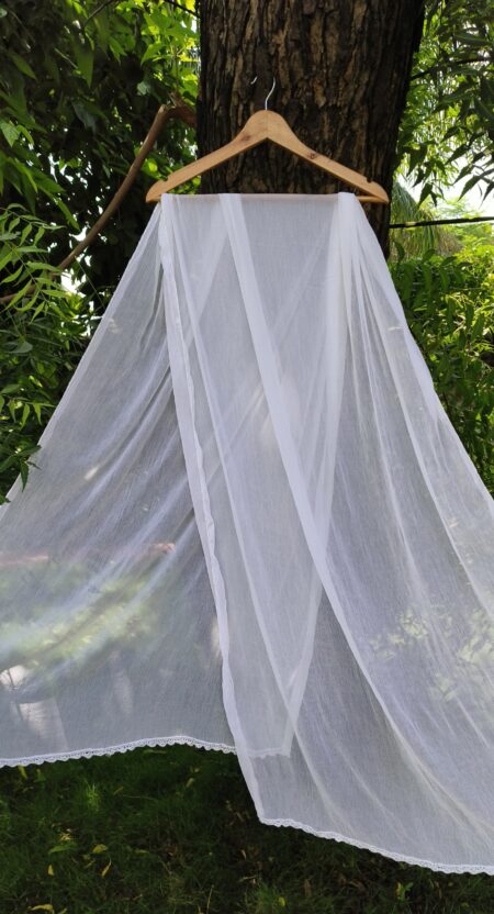 White Chikankari Plain Chiffon Dupatta With Lace