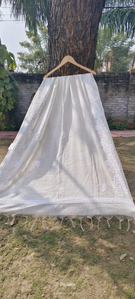 Off White Chikankari Border Bel Shadow Work Dupatta